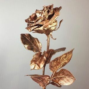 Meet your Posher, Judith